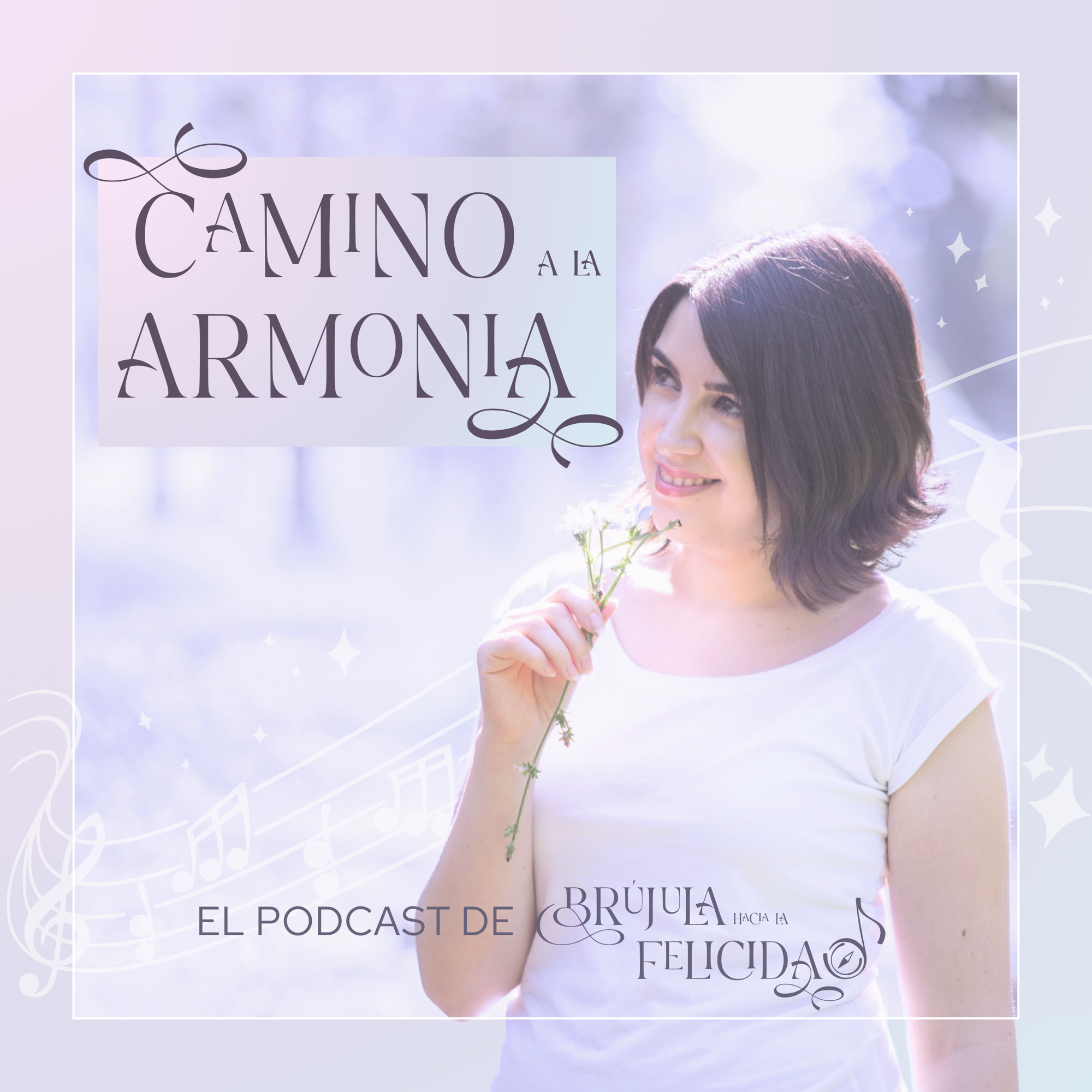 Camino a la armonía